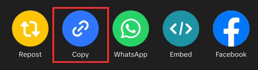 Step 1: Copy the TikTok Video Link